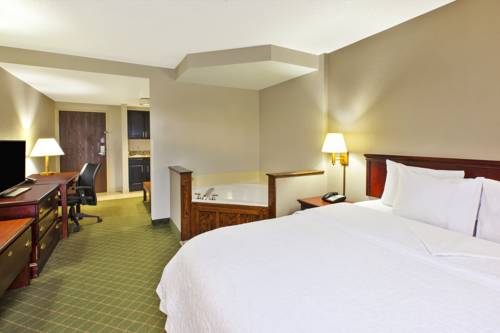 Imagen general del Hotel Hampton Inn Marietta. Foto 1