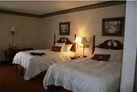 Imagen de la habitación del Hotel Hampton Inn Medina. Foto 4