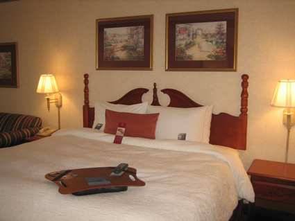 Imagen de la habitación del Hotel Hampton Inn Medina. Foto 5