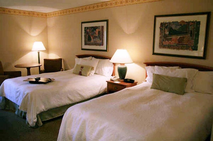 Imagen de la habitación del Hotel Hampton Inn Miami Dadeland. Foto 3