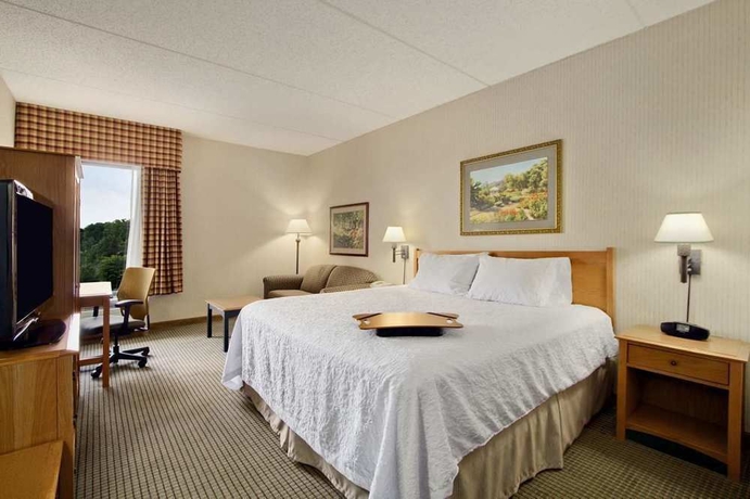 Imagen de la habitación del Hotel Hampton Inn Middletown, Middletown. Foto 8