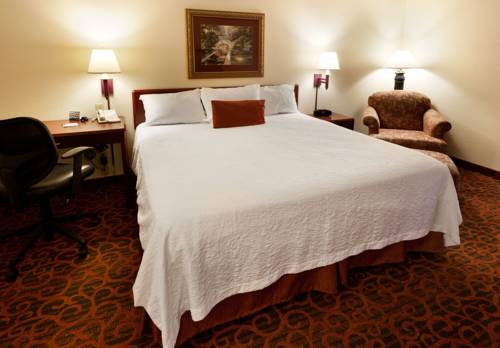 Imagen de la habitación del Hotel Hampton Inn Minneapolis Nw Maple Grove. Foto 6