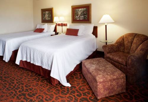 Imagen de la habitación del Hotel Hampton Inn Minneapolis Nw Maple Grove. Foto 8