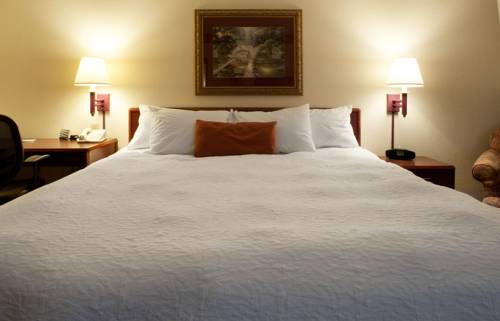 Imagen de la habitación del Hotel Hampton Inn Minneapolis Nw Maple Grove. Foto 12