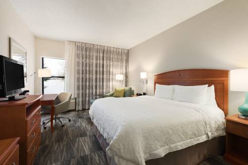 Imagen de la habitación del Hotel Hampton Inn Minneapolis St. Paul-woodbury. Foto 3