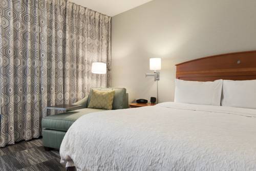 Imagen de la habitación del Hotel Hampton Inn Minneapolis St. Paul-woodbury. Foto 4