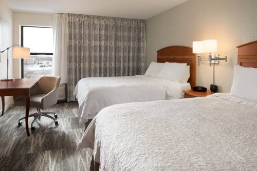 Imagen de la habitación del Hotel Hampton Inn Minneapolis St. Paul-woodbury. Foto 5