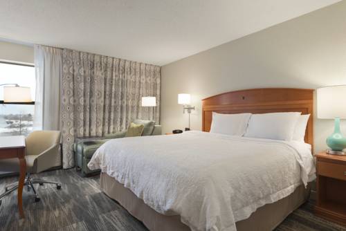 Imagen de la habitación del Hotel Hampton Inn Minneapolis St. Paul-woodbury. Foto 7