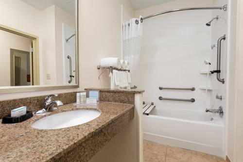 Imagen de la habitación del Hotel Hampton Inn Minneapolis St. Paul-woodbury. Foto 10