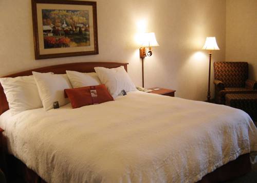 Imagen de la habitación del Hotel Hampton Inn Missoula. Foto 8