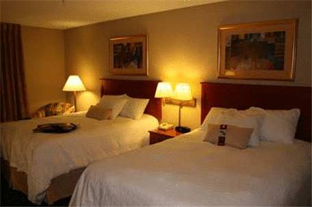 Imagen de la habitación del Hotel Hampton Inn Mitchell. Foto 13