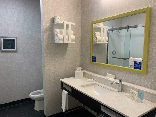 Imagen general del Hotel Hampton Inn Monahans, Tx. Foto 8