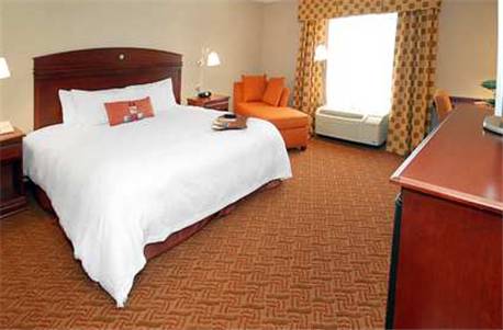 Imagen de la habitación del Hotel Hampton Inn Moss Point. Foto 4