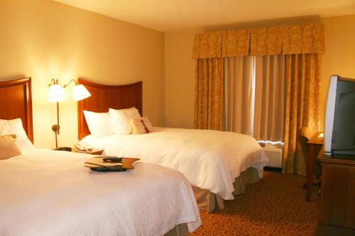 Imagen de la habitación del Hotel Hampton Inn Murphy. Foto 6