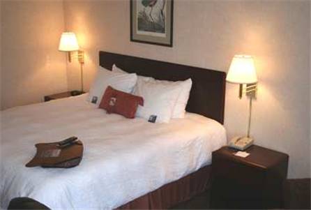 Imagen general del Hotel Hampton Inn New Bern. Foto 1