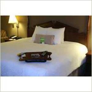Imagen de la habitación del Hotel Hampton Inn Olathe. Foto 2