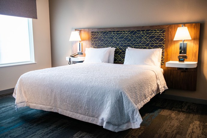 Imagen de la habitación del Hotel Hampton Inn Paris, Paris. Foto 5