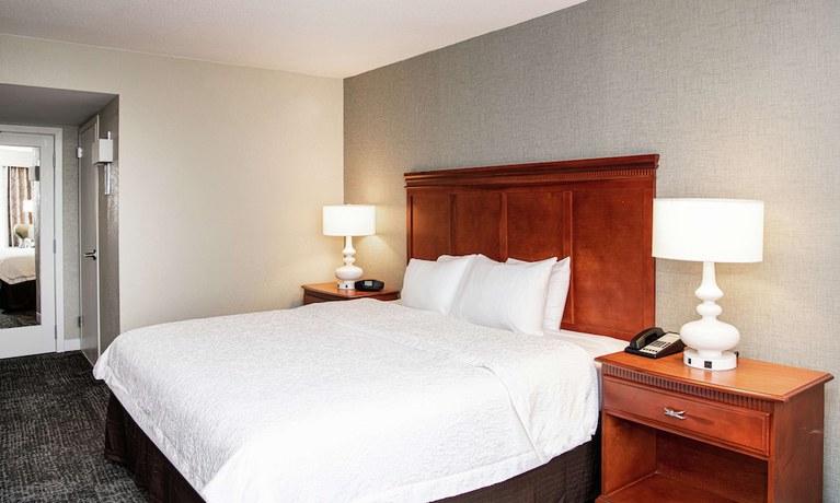 Imagen de la habitación del Hotel Hampton Inn Parsippany. Foto 12