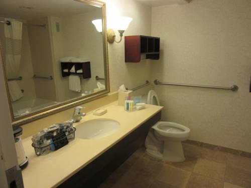 Imagen de la habitación del Hotel Hampton Inn Patriots Point. Foto 3