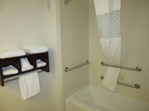 Imagen de la habitación del Hotel Hampton Inn Patriots Point. Foto 4