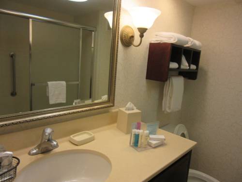 Imagen de la habitación del Hotel Hampton Inn Patriots Point. Foto 6