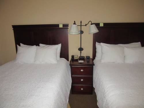 Imagen de la habitación del Hotel Hampton Inn Patriots Point. Foto 7