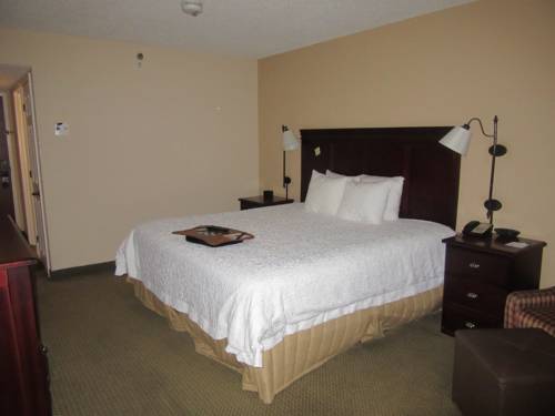 Imagen de la habitación del Hotel Hampton Inn Patriots Point. Foto 11