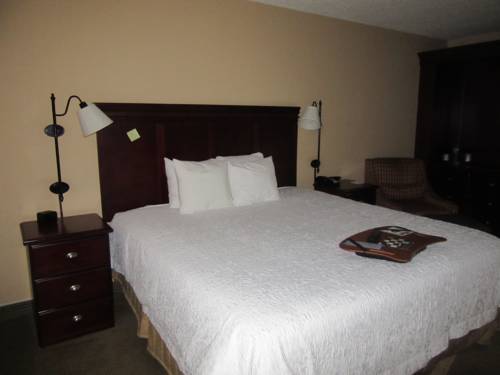 Imagen de la habitación del Hotel Hampton Inn Patriots Point. Foto 12