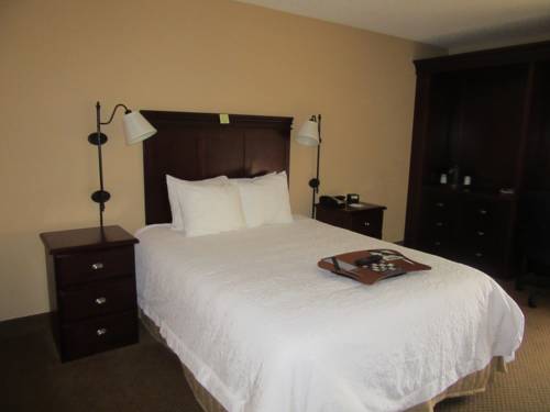 Imagen de la habitación del Hotel Hampton Inn Patriots Point. Foto 13