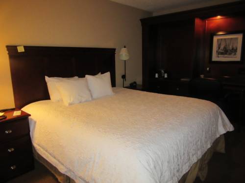 Imagen de la habitación del Hotel Hampton Inn Patriots Point. Foto 14