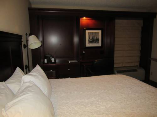 Imagen de la habitación del Hotel Hampton Inn Patriots Point. Foto 15