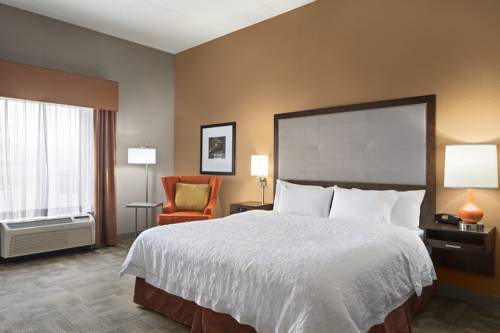 Imagen general del Hotel Hampton Inn Pell City. Foto 1