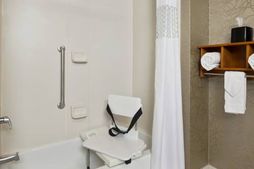 Imagen de la habitación del Hotel Hampton Inn Pell City. Foto 6