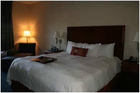 Imagen de la habitación del Hotel Hampton Inn Perry. Foto 3