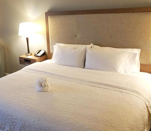 Imagen de la habitación del Hotel Hampton Inn Philadelphia-international Airport. Foto 6