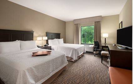Imagen de la habitación del Hotel Hampton Inn Philadelphia/voorhees. Foto 4