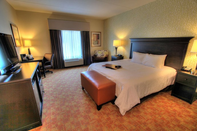 Imagen de la habitación del Hotel Hampton Inn Pigeon Forge. Foto 10