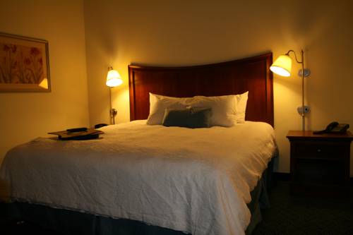 Imagen de la habitación del Hotel Hampton Inn Pine Grove. Foto 8