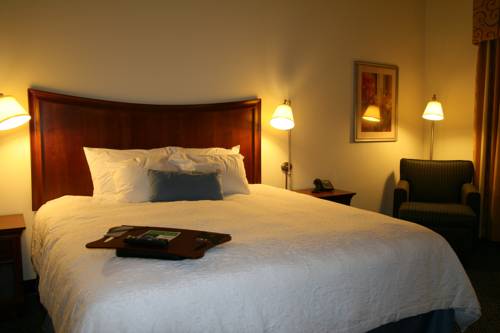 Imagen de la habitación del Hotel Hampton Inn Pine Grove. Foto 11