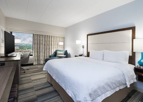 Imagen de la habitación del Hotel Hampton Inn Pittsburgh University Center. Foto 1