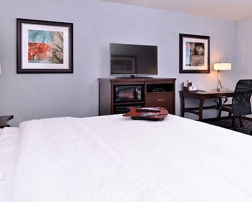 Imagen de la habitación del Hotel Hampton Inn Potsdam, Ny. Foto 11