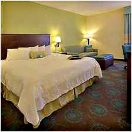 Imagen de la habitación del Hotel Hampton Inn Rehoboth Beach. Foto 2