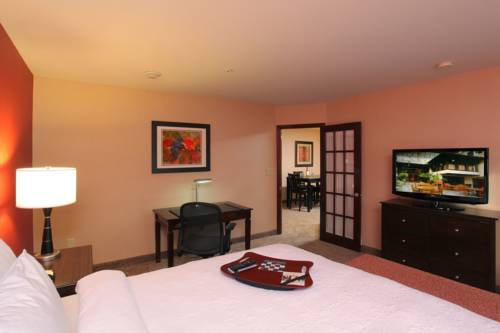 Imagen de la habitación del Hotel Hampton Inn Richland/tri-cities. Foto 11