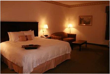 Imagen general del Hotel Hampton Inn Richmond/midlothian Turnpike. Foto 1