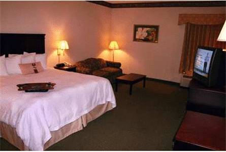 Imagen de la habitación del Hotel Hampton Inn Richmond-sw Hull Street. Foto 3
