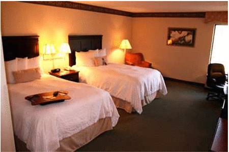 Imagen de la habitación del Hotel Hampton Inn Richmond-sw Hull Street. Foto 4