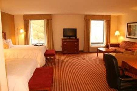 Imagen de la habitación del Hotel Hampton Inn Roanoke/hollins - I-81. Foto 3