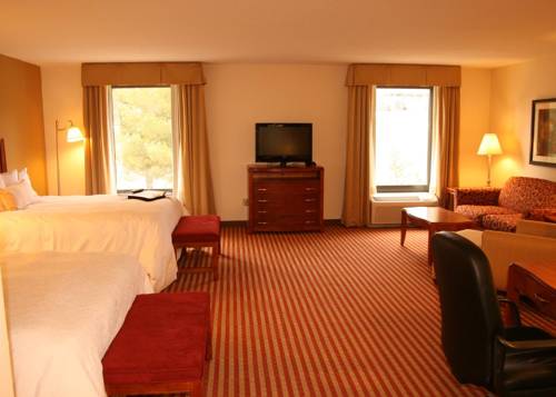 Imagen de la habitación del Hotel Hampton Inn Roanoke/hollins - I-81. Foto 7