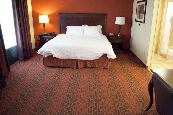 Imagen de la habitación del Hotel Hampton Inn Rochester Webster. Foto 5