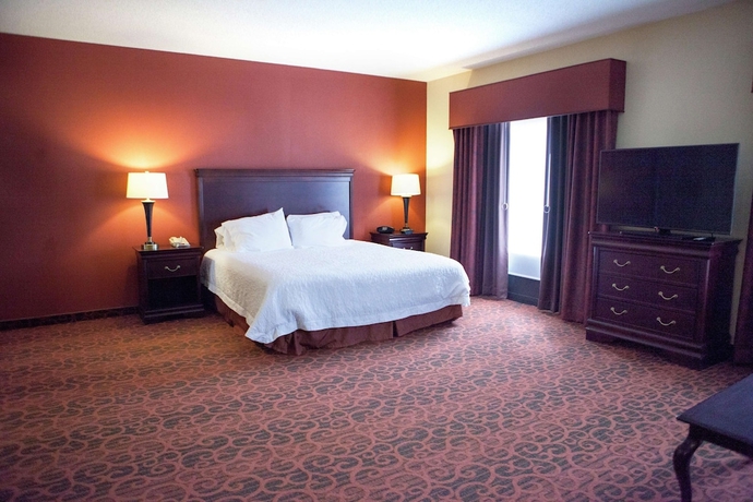 Imagen de la habitación del Hotel Hampton Inn Rochester Webster. Foto 7